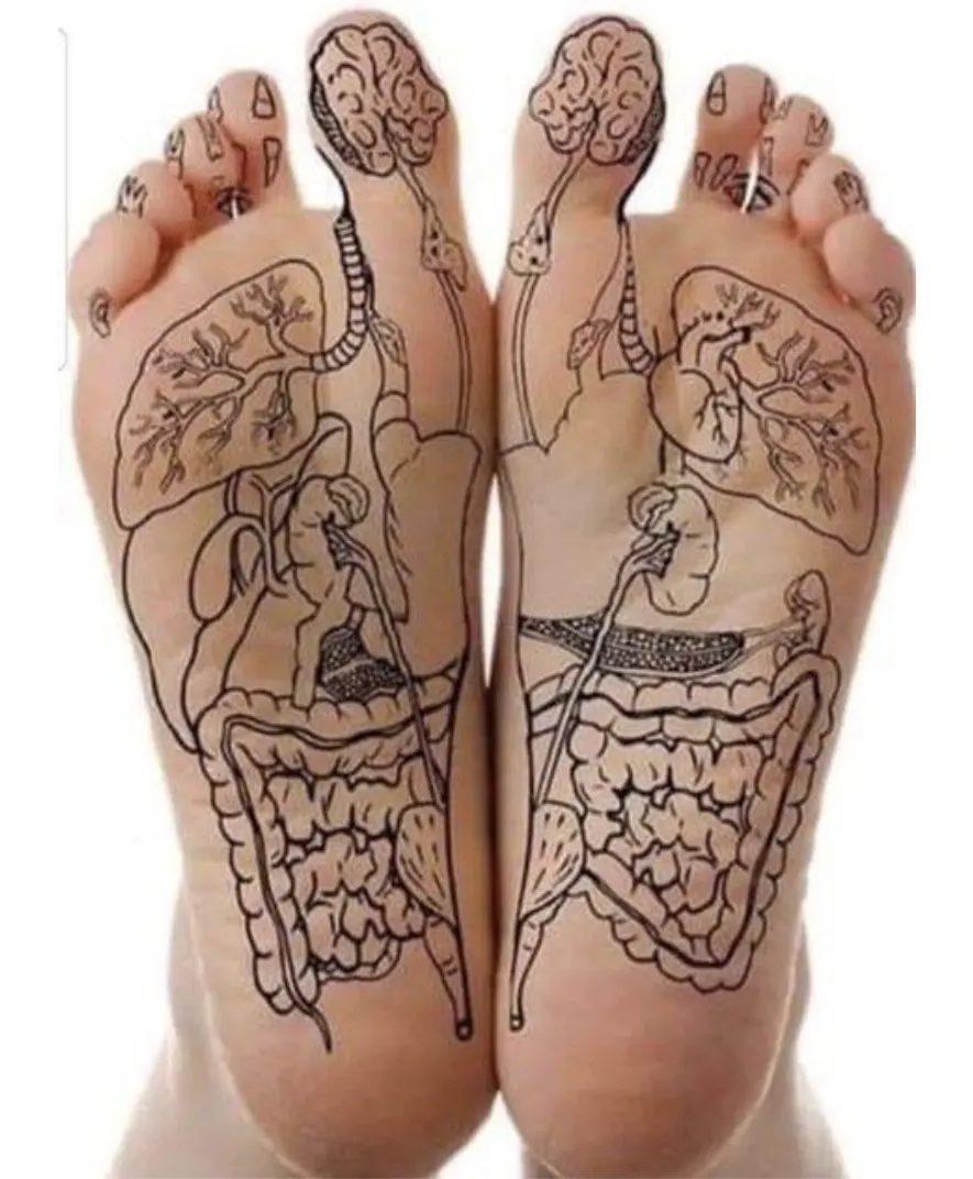 Reflexology map drawn on the soles of two feet